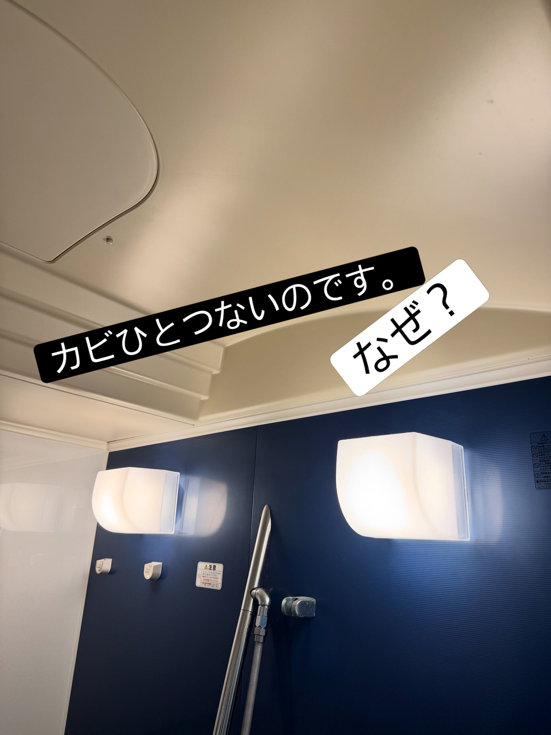 multi_image